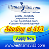 Earn 30% commission on each sale with www.vietnamsvisa.com-vietnamsvisa_banner_250-x-250px.png