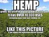 Legal Hemp & Cannabis Online Biz Makes $$-00d0d_9ehexqdnvkg_600x450.jpg